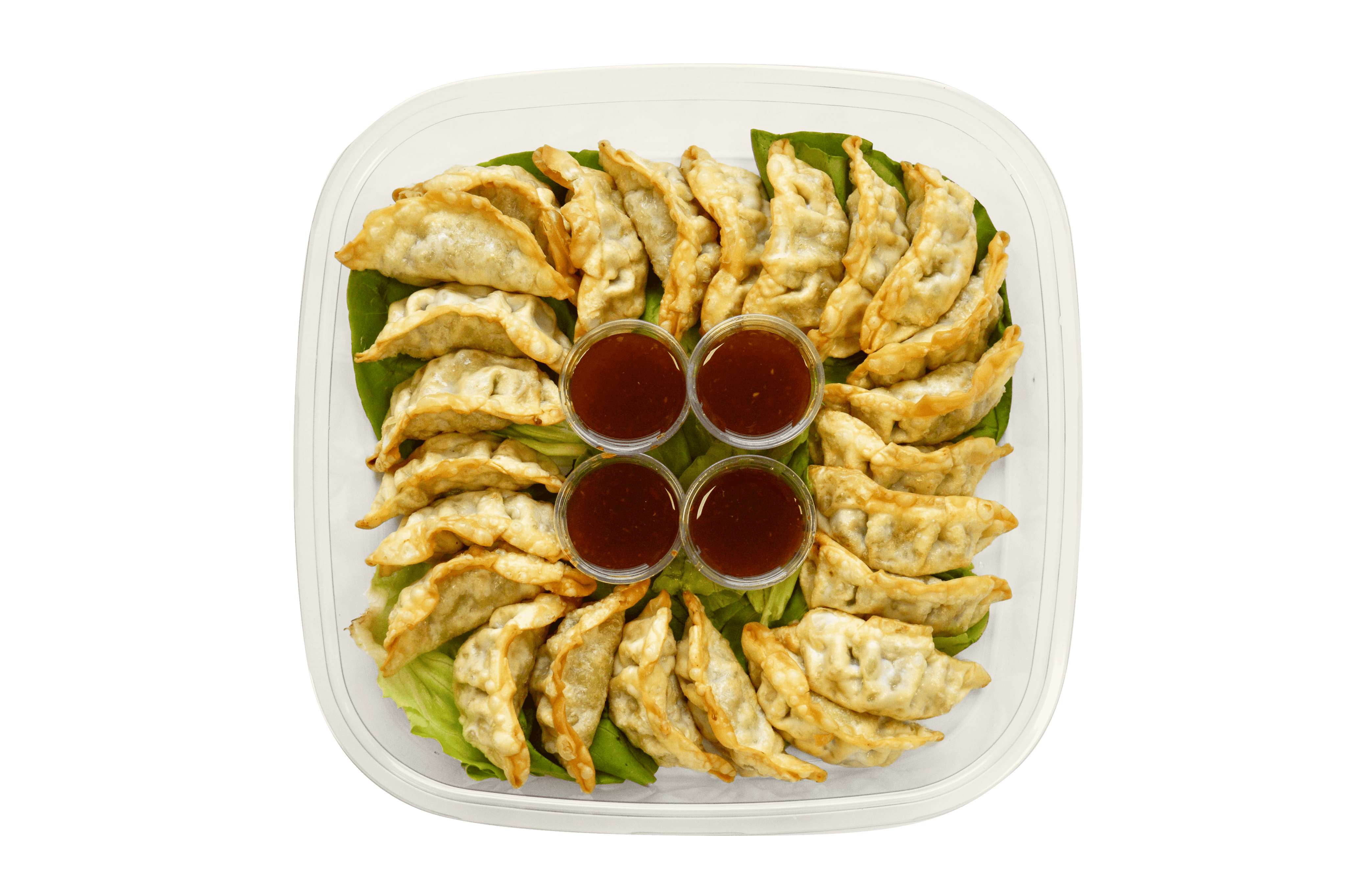 Platter-VegeGyozaPlatter_25Pieces.png