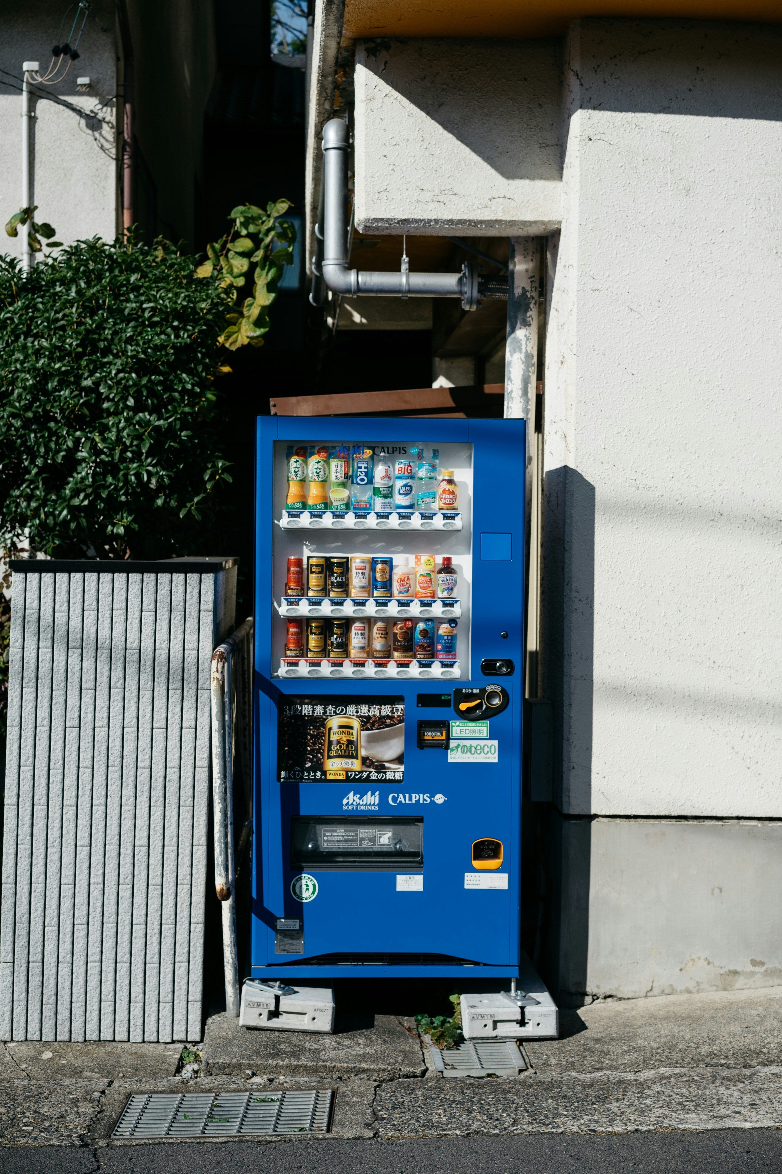 markus-winkler-sivZzTkbjts-unsplash.jpg